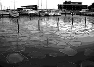 2021-08-10/7f6cc9144ec76ed5f924f9d23f9c1d03_59af3b923027dd14e6f3813f3af3d007