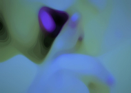 2021-08-11/802f7f62a7a4dc5a936636a5492d0c36_24c3f44b653afdbf9e33faee8ce53e67