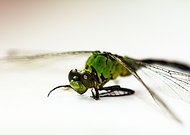 2021-08-12/bea97c40b42a83c6de564d61d95c9b8b_0802f295d684a779fd21271251c0648b