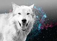 2021-08-15/390bb3bd5d5185e8156d25565a840f46_4b6961e4cd26c935f8b7a0008da8b7c2