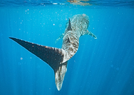 2021-08-16/4ae2f5b09be1f64e17286ad514677930_3766be01f7af9663d635d9b4b2fcc570