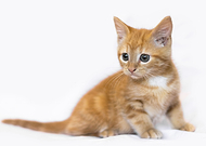 2021-08-30/721b853c7d51a3d65b0fde3674bb536d_31de6b5956f0d533334da01fb5f2d953