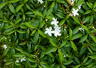 2021-09-02/335a81c0d9097f5b6870e14f0eca1ce1_f03bb1d8439dae99e92d884b143a5a9f