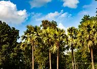 2021-09-02/628d2aa8fcaca62e2e3015ffde17af6e_7283e6db1f937c696d8cca7663ddf22f