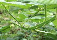 2021-09-09/0feacd314505c5d7dbc8844a17fccfc2_973b8b1747b421600ae5163f638f487a