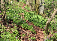 2021-09-17/2844757baeb3c3c7300d417c2251353e_6addaf8ade018316b53f27896d4b703a