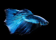 2021-09-20/a665d36992f9e30e4e868d6b4b170340_44a3c1f87c59f894f36e00c7ee92b349