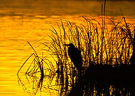 2021-09-21/c0ef6cf49f725b2bc1b066c31d79d672_1560354ea7f2ae11ba50a6f5c6996c2a