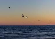 2021-09-25/07116baaade0d6d0701a33296798ea56_214a4fee4c1f404594d757ec45fff777