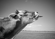 2021-09-28/da860d2f39792add132df3f946748d03_5f5cd9ee4facec895ef3a49e6bbbdfa4