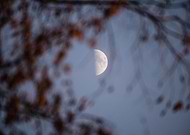 2021-09-30/2633d1d92272a0ea64cd33531404bbef_46942ab2cf6aafce7eed574a3f0b045c