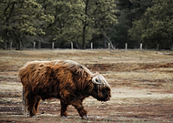 2021-10-04/9de5f2587f14f256daa8157d368e92e5_f1ee61940e5a4da9bbfadd7f00321005