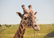 2021-10-13/7f00b92325c9b46c1f9675cab5f3eb00_21c450da4aecc926d04a175a5e982300