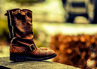 2021-10-17/562859d1835ba6731968136031db69c1_3e4774e67c5b5b0f0efec2ef88b0fb73