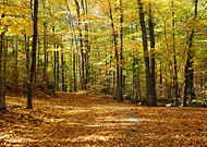 2021-10-20/e63214da30f7df619832bed5ab9ccd73_8e218f2d9e5fb01174f61be6a4bf4d96