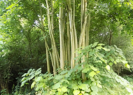 2021-10-21/b7df55573111b602e0d94f91e34e8ca7_c8ced3a29f1e051f7a4c92bbeb2d6877