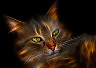 2021-11-07/17baf7e415ed38ba65d662a1dc95e41e_2e099b51ffcd24d74223899d52586f83