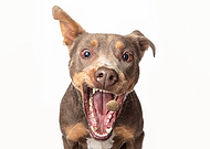 2021-11-07/7b893dcf19bceb075f928e52c8cee126_73915fc1e512622137c21ecb7ed0f747