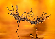 2021-11-07/e4148d988289f3ee10e23f3bdbdbac9b_c6a9c8194f31727b62f8683553e11439