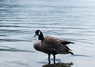 2021-11-12/2519bd87a24b491c31ad6bf117d008dd_6e7f4a812b35ae3802138fde9c7ffc1c