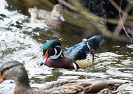 2021-11-12/df324b725d11124efa029d4bd9a19e8a_2ccaf739ae59db74df4022348448caa5