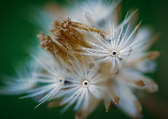 2021-11-14/b962884395ac5cf3afeab712467271f0_468b2ae03b85736ca62bf02061a90e5a