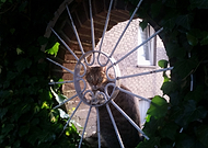 2021-11-16/34ac745bc1a99be85bb4d77cd6aaf501_dc790dfef4d7514f40e1e3e4772f6a8b