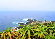 2021-11-19/fd9e05ab3646b6cd2eb36e5b4c0d1f11_00a47ec09917fb5c0925c8185b957687