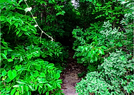 2021-11-20/95931094239a3ce0736e754e7eb2b119_66daaddbf4c44a257cc50564f47452fb