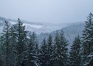 2021-11-21/0a20445fa68510b5c15027acdf5533aa_18182da70ccd6ce6894fa923f3eba7cf