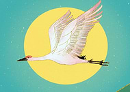 2021-11-22/c8012229c25d7b6f984a91fa9c7e0da8_3310bdce4f3c5447e7fa9235a2c37bec