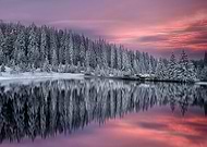 collection-preview-3