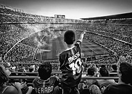 collection-preview-1