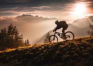 collection-preview-3