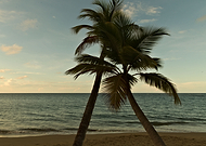 2021-11-29/fb077cf5942f28f5e1cd519e14dd3d08_76d6381f72014e5f5aa33f70d69cda90