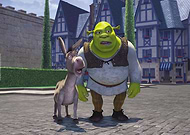 collection-preview-3