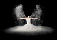 collection-preview-1