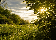 2021-12-02/302a814f55770a961d4f0a32a9ed33ed_1a4c5cb45d08472b6f9d7b5072ec0f6f