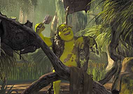 collection-preview-1