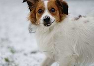 2021-12-02/e6fd5919b65a3eda12462dcf41e90a56_a2b357edbda15bb878949f11d1ced18f