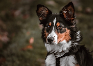 2021-12-03/43eafa4817cb9a958302478a0aa139d7_f5792f5fde847f5e46dc0d7dd4185680