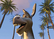 collection-preview-2