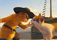 collection-preview-1