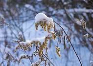 2021-12-07/1fbb2200f77695325fa4cf69316f393d_236d84ba7e43431d3b022712ff804a2b