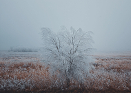 2021-12-07/c614b6d847804652f70a5ffd39805fcc_3f2ed713d0adcdb53b4e28a728857600