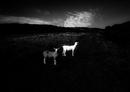 2021-12-08/5cfa4d99ad1a795e6b5ad8a969cda5ca_7d949c5faa2e95061f602ee63029ca41