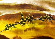 2021-12-13/14e22c39ca770f02c923157ee049c06f_6beb576166bf9ccb5ba427c29781c197