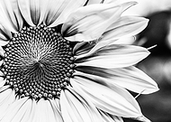 2021-12-14/a16e7ec1adc80c8ebd5ce323d5013da8_4676177b971c6407c805d159abc3e9cf