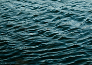 2021-12-22/0e9692c5e8a87b5518b7c2ea802f0fa6_3d99132f78ee1007f89743f1abdad638