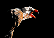 2021-12-23/dcb35c431146c7c8e6610331a933dad6_2512f7c3d238267b33730506dfe90066